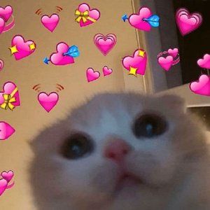 Meet your Posher, Damnhien